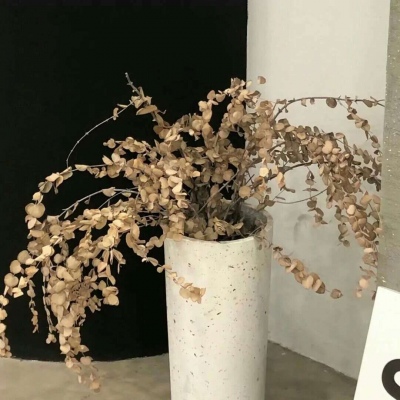 Furry色彩搭配技巧Furry群